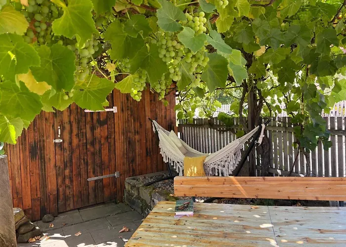 펜션 Haus Herhoenspatziert *